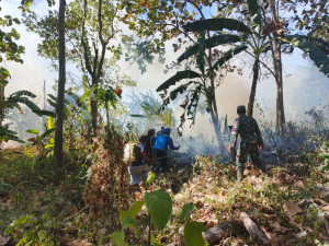Api Lahap 3 Hektare Lahan Kosong di Sipatuo, Babinsa dan Warga Bergerak Cepat Padamkan Kebakaran