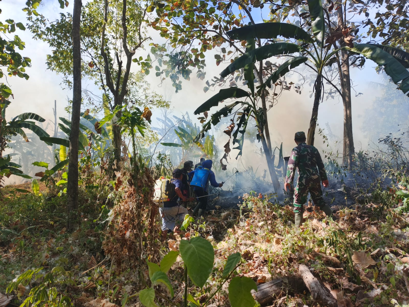 Api Lahap 3 Hektare Lahan Kosong di Sipatuo, Babinsa dan Warga Bergerak Cepat Padamkan Kebakaran