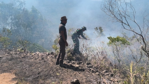 Babinsa Bersama Bhabinkamtibmas  dan Damkar Berupaya Padamkan Kebakaran Hutan di Gunung Rajang