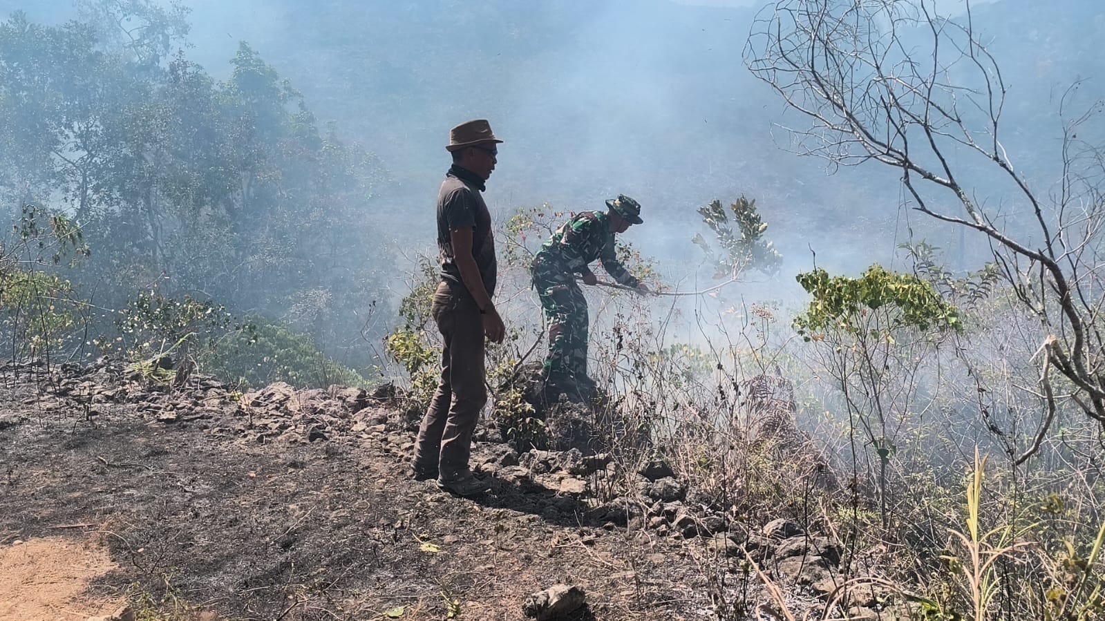 Babinsa Bersama Bhabinkamtibmas  dan Damkar Berupaya Padamkan Kebakaran Hutan di Gunung Rajang