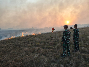 Dandim 1404/Pinrang Pimpin Pemadaman, TNI-Polri dan Damkar Berjibaku Jinakkan Api di Patampanua