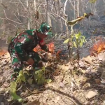 Babinsa Bersama Kepala Desa Ranga Bergerak Cepat Padamkan Kebakaran Hutan di Gunung Buttu Passe