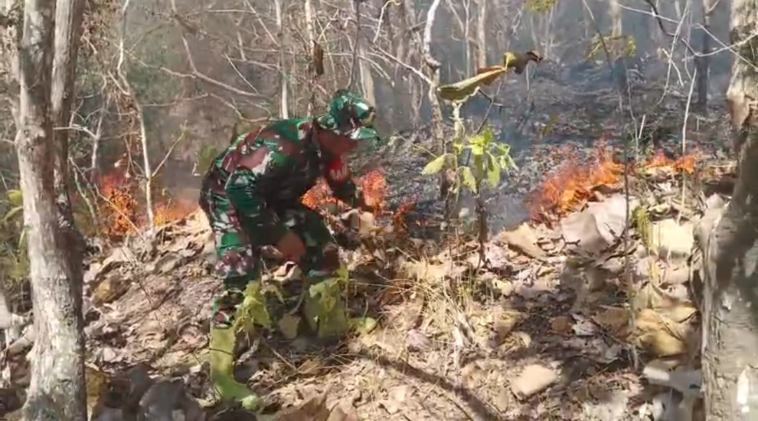 Babinsa Bersama Kepala Desa Ranga Bergerak Cepat Padamkan Kebakaran Hutan di Gunung Buttu Passe