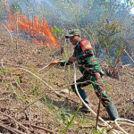PERJUANGAN TANPA KENAL LELAH, BABINSA BERSAMA BHABINKAMTIBMAS DAN MASYARAKAT PADAMKAN KEBAKARAN DI GUNUNG BUTTU BELAH