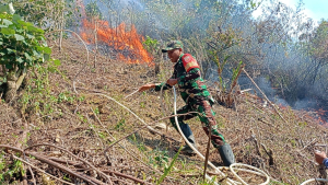 PERJUANGAN TANPA KENAL LELAH, BABINSA BERSAMA BHABINKAMTIBMAS DAN MASYARAKAT PADAMKAN KEBAKARAN DI GUNUNG BUTTU BELAH