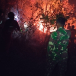 Gerak Cepat TNI-Polri dan Damkar, Kebakaran 2 Hektare Lahan di Tellupanua Berhasil Dipadamkan