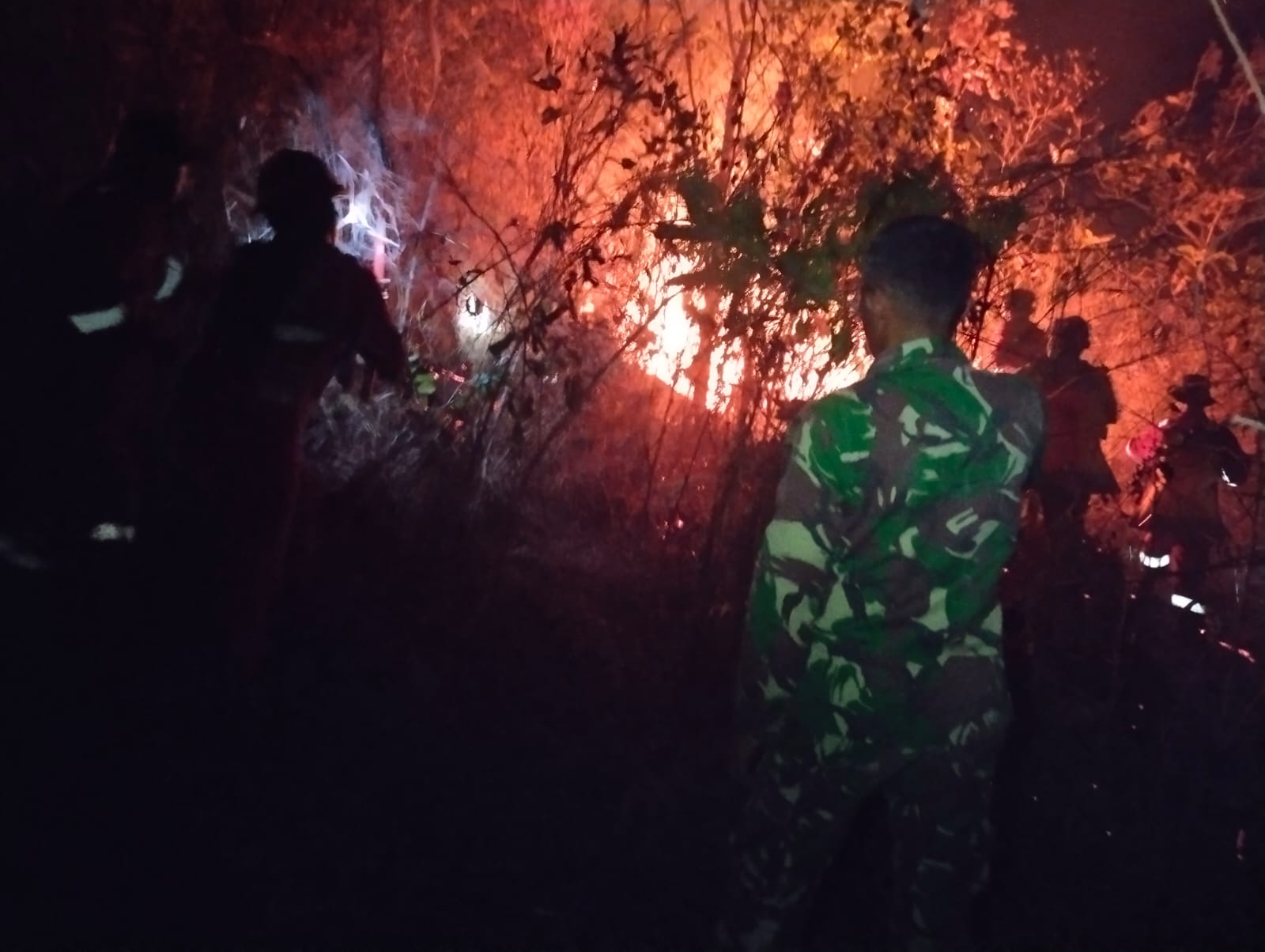 Gerak Cepat TNI-Polri dan Damkar, Kebakaran 2 Hektare Lahan di Tellupanua Berhasil Dipadamkan
