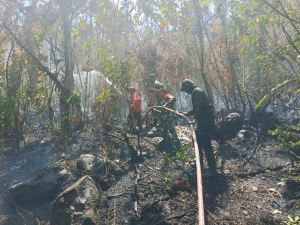 Berkat Gerak Cepat TNI-Polri dan Damkar, Kebakaran Lahan 40 Are di Paleteang Terkendali