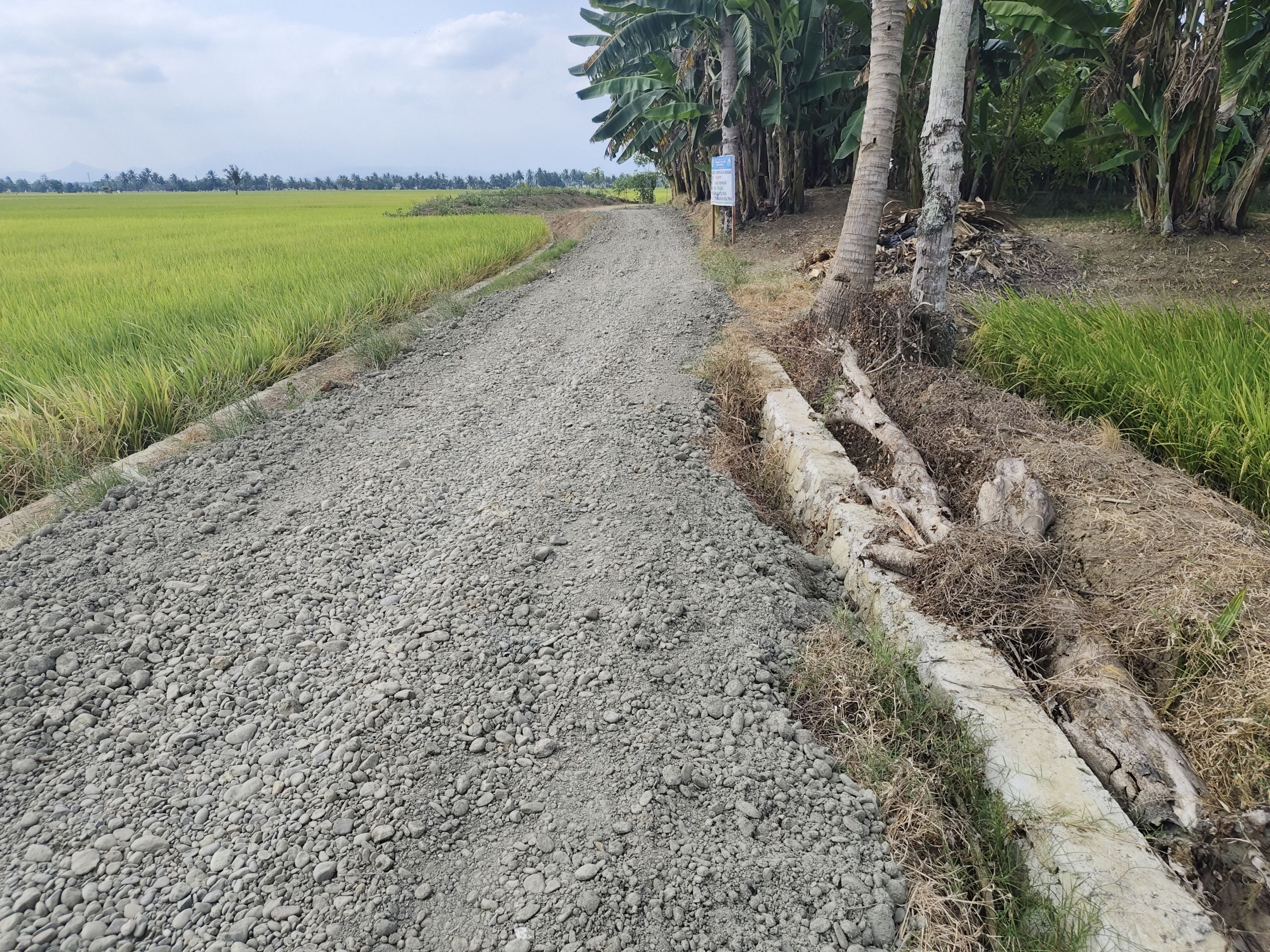 Anggaran Rp75 Juta, Talud dan Penimbunan Jalan Tani Addewatang Desa Taccimpo Sidrap Dipertanyakan
