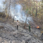 Bhabinkamtibmas Bersama Warga Berjibaku Padamkan Kebakaran Lahan di Kawasan Hutan Pinus Latimojong