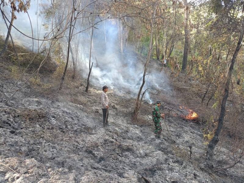 Bhabinkamtibmas Bersama Warga Berjibaku Padamkan Kebakaran Lahan di Kawasan Hutan Pinus Latimojong