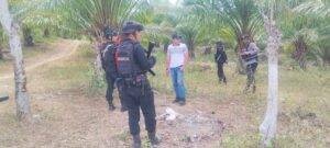Hari Libur Tetap Bertugas, Personel Sat Samapta Polres Enrekang dan Sat Brimobda Parepare Patroli di Perkebunan Sawit PTPN XIV Maroangin