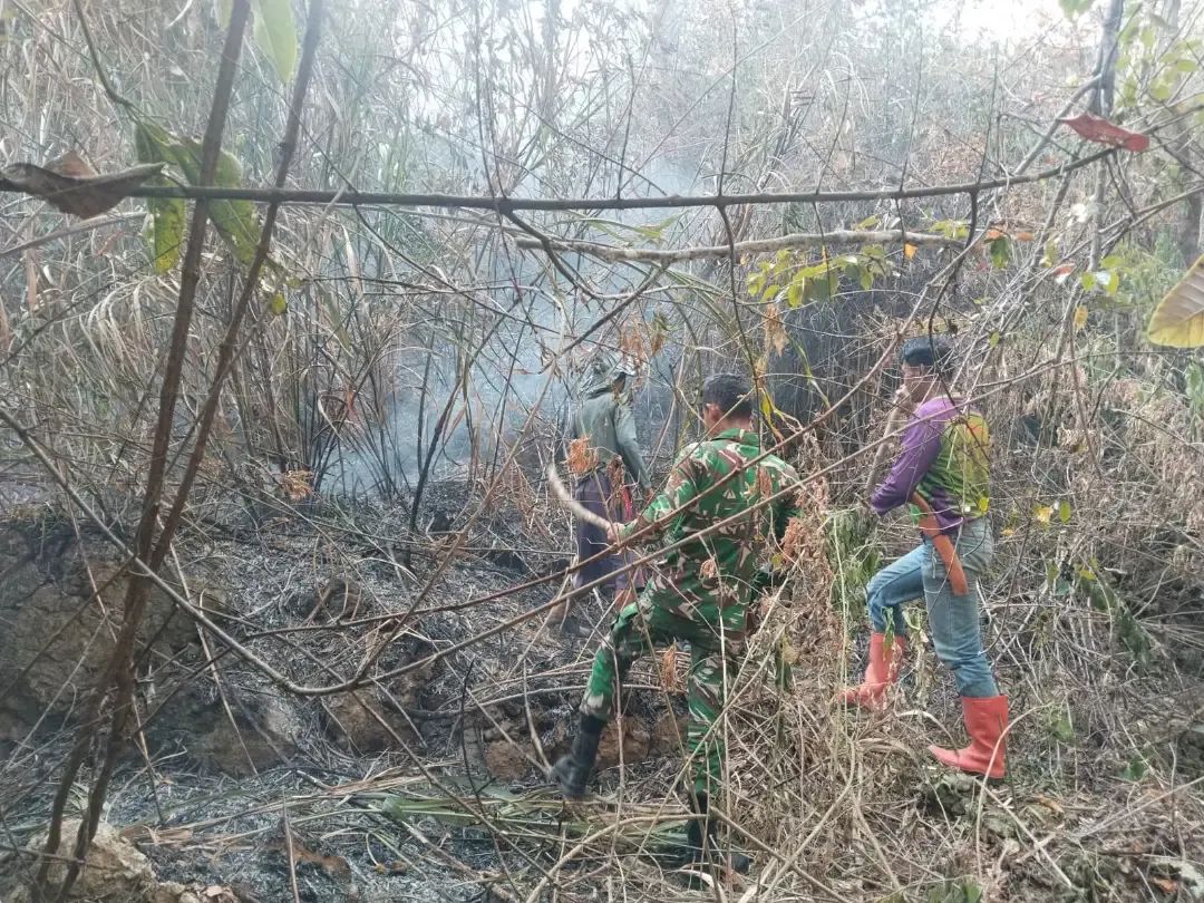 Babinsa Koramil 1419-04/Alla Bersama Bhabinkamtibmas dan Warga Berhasil Padamkan Kebakaran Hutan Lindung di Gunung Bulu Bawan