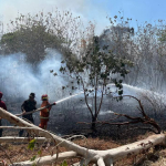 Gerak Cepat TNI-Polri, Damkar dan Warga Padamkan Kebakaran Lahan 3 Hektare di Watang Pulu