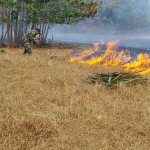 GERAK CEPAT BABINSA BERSAMA BHABINKAMTIBMAS DAN WARGA PADAMKAN KEBAKARAN LAHAN DI DUSUN KUNYI