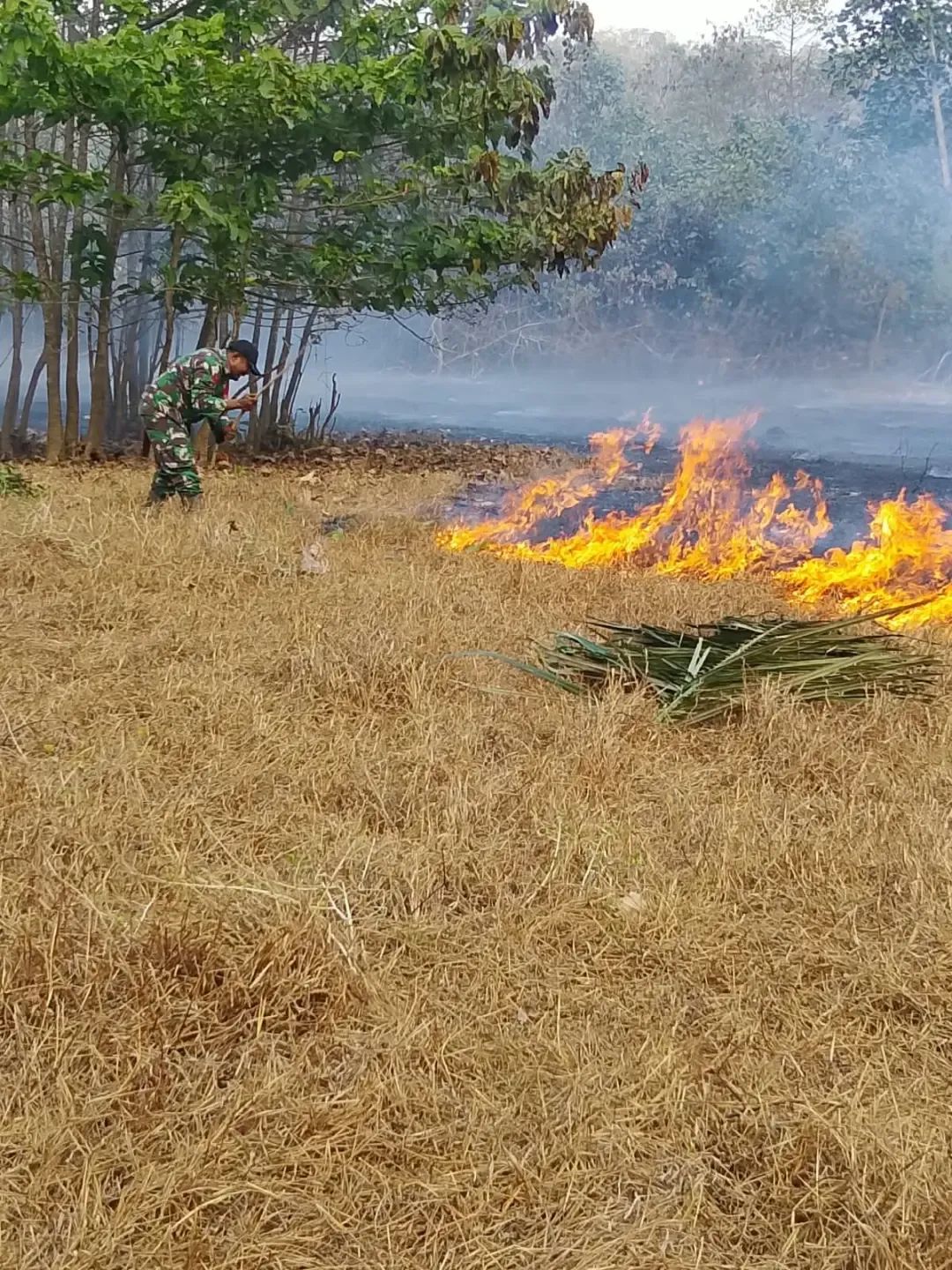 GERAK CEPAT BABINSA BERSAMA BHABINKAMTIBMAS DAN WARGA PADAMKAN KEBAKARAN LAHAN DI DUSUN KUNYI