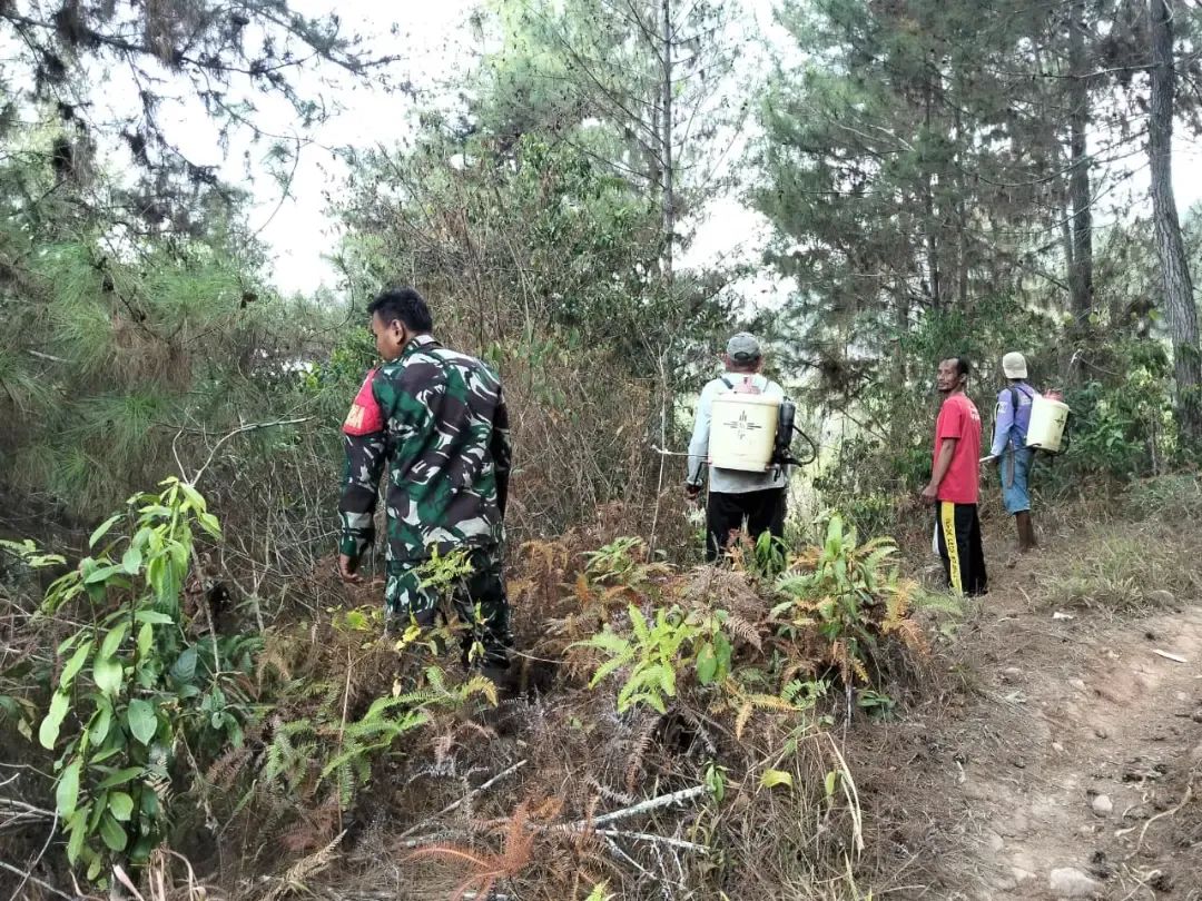 Babinsa Dan Warga Berjibaku Padamkan Karhutla Di Gunung Buttu Panden