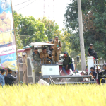 Sidrap Jaga Ketahanan Pangan, Panen Padaloang Alau Tembus 11,6 Ton Gabah per Hektare