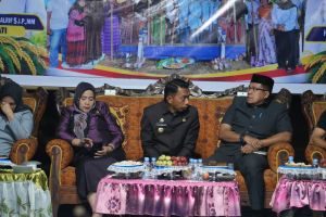 Mappadendang di Padangloang Alau, Tradisi Syukur Panen yang Terus Dijaga