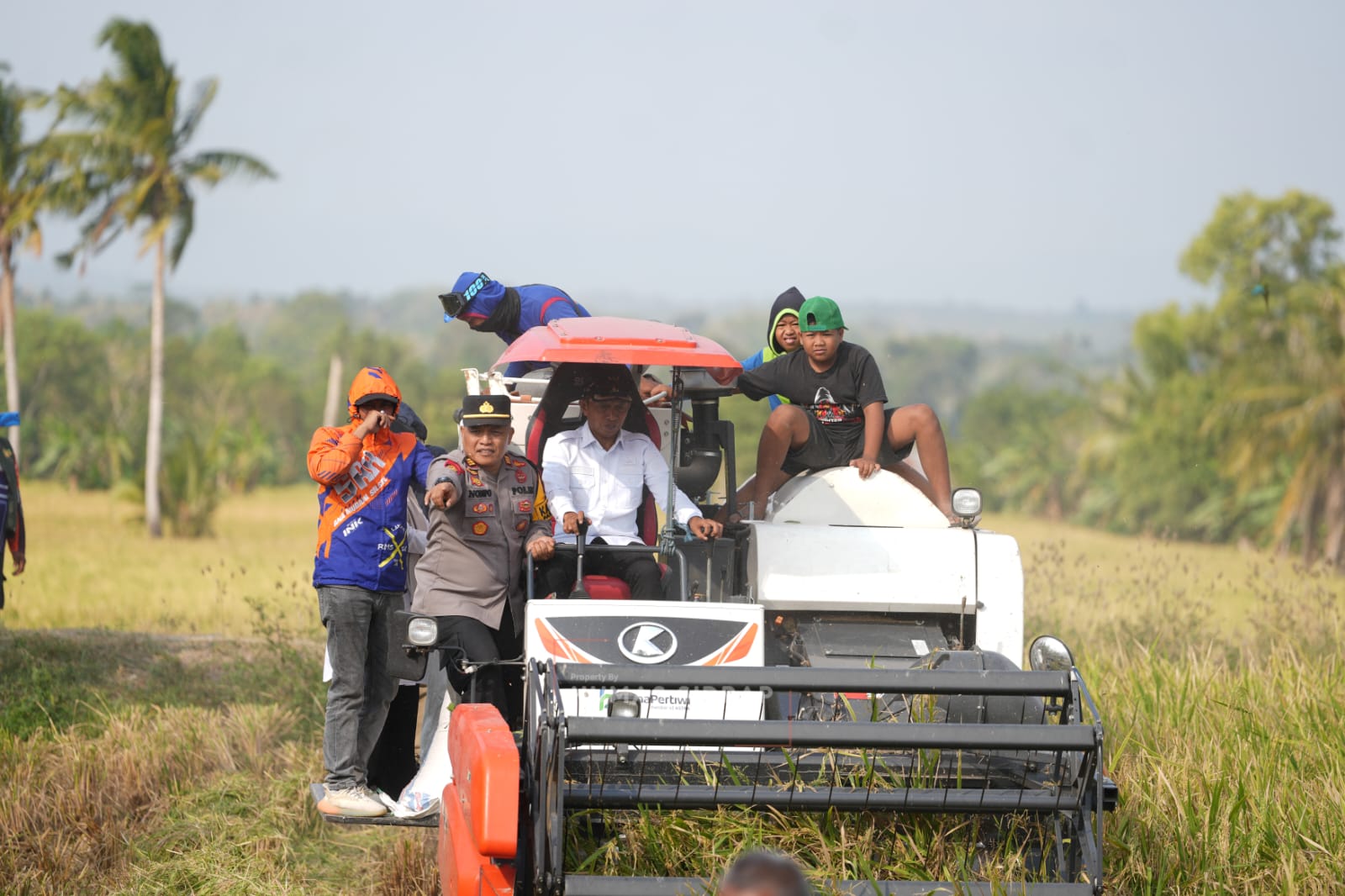 Panen di Sawah Tadah Hujan Bulo Wattang, Bupati Syaharuddin: Ada Sumur Bor, Petani Tetap Produktif