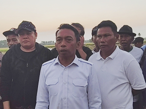 Bola Bulu Menyala! 903 Hektare Sawah Siap Didorong IP300, Potensi Produksi Hampir Rp200 Miliar Setahun