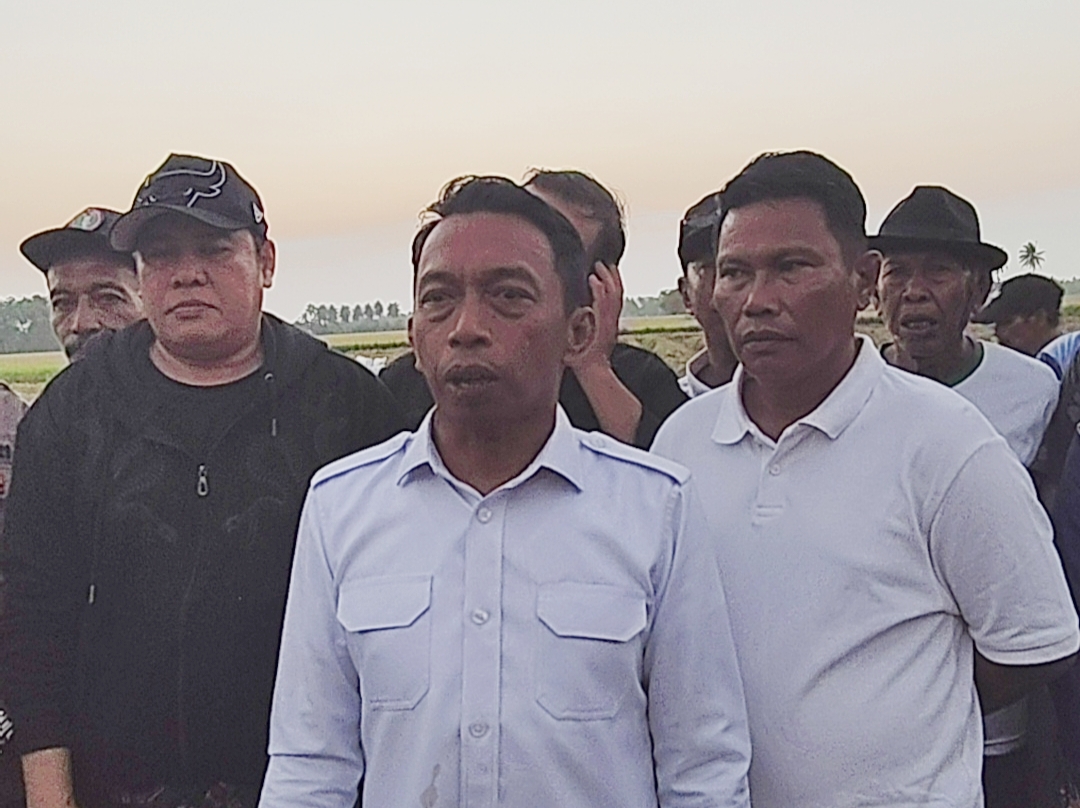 Bola Bulu Menyala! 903 Hektare Sawah Siap Didorong IP300, Potensi Produksi Hampir Rp200 Miliar Setahun