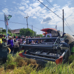 430 Hektare Sawah Tonrongnge Jadi Andalan, Bupati Syaharuddin Alrif Optimistis Panen Makin Berkah