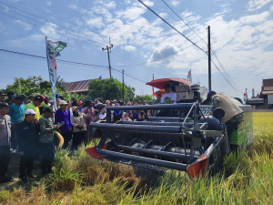 430 Hektare Sawah Tonrongnge Jadi Andalan, Bupati Syaharuddin Alrif Optimistis Panen Makin Berkah
