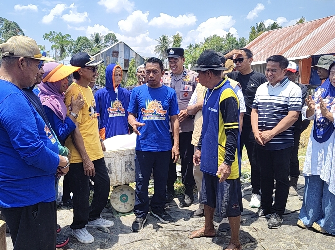 Sekali Garap Banyak Hasil, Usaha Warga Abbokongang Panen Ikan, Padi, Ayam hingga Walet