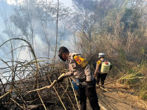 Personel Polsubsektor Masalle Bersama Warga Tangani Kebakaran Lahan di Panggandangan