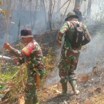 Jajaran Personil Kodim 1419  Enrekang Bantu Padamkan Karhutla di Gunung Latimojong-Lakawan Enrekang