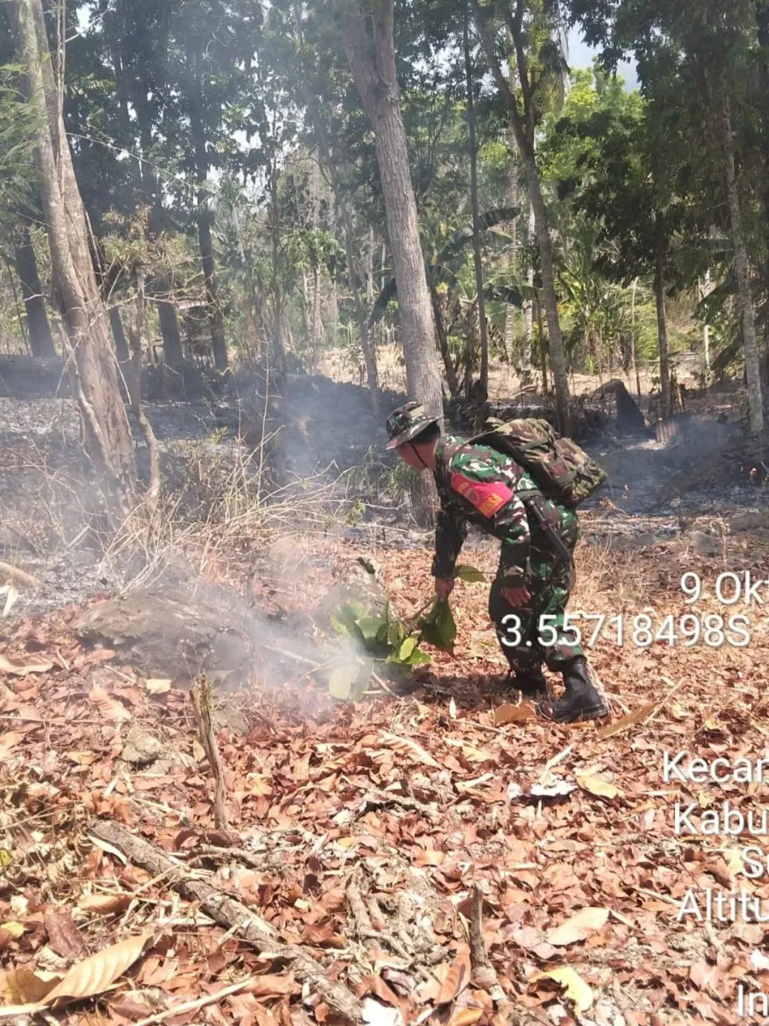 Babinsa Koramil 1419/Enrekang Bersama BPBD, Damkar dan Warga Berjibaku Padamkan Karhutla di Hutan Lindung Buttu Sawah